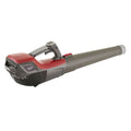 MBL 50 Li Leaf blower